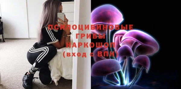скорость Богданович
