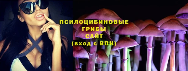 скорость Богданович