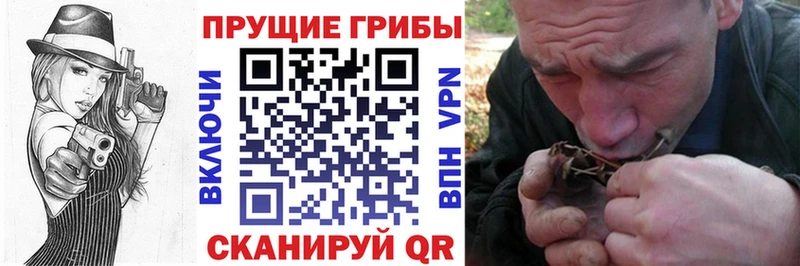 Галлюциногенные грибы GOLDEN TEACHER  Мурино 